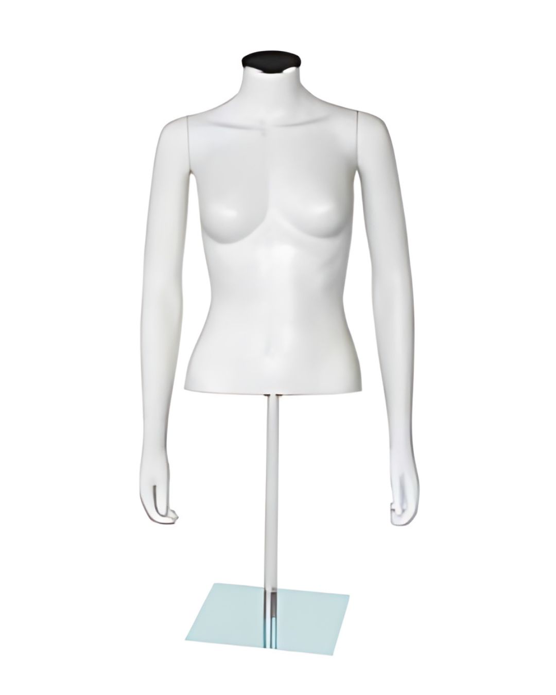 Torso Lite Ego Bust Women Short Glass Base